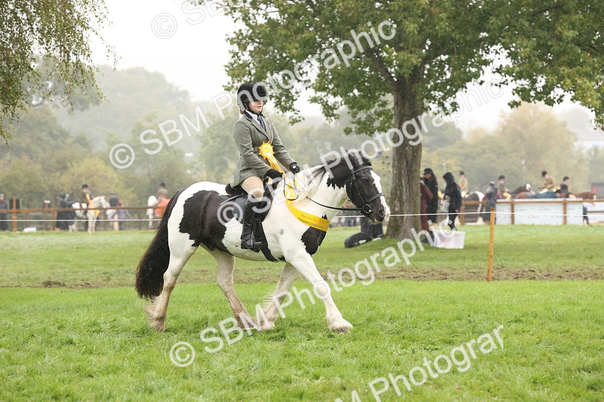 SBM_72892 - Ridden Horse Supreme Championship