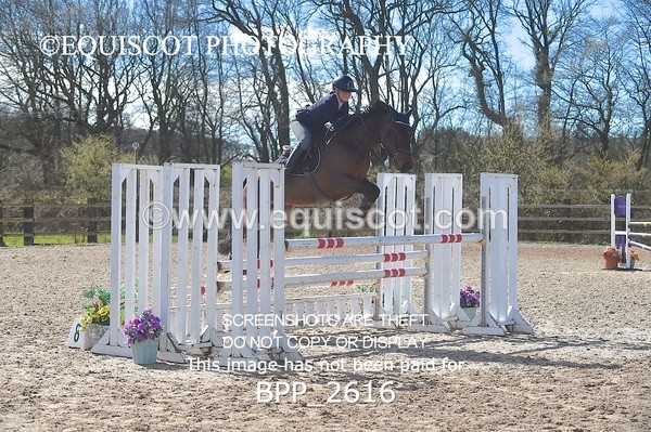 BPP_2616 - CLASS 28 48cm Pony Royal Highland Show Championship Qualifier