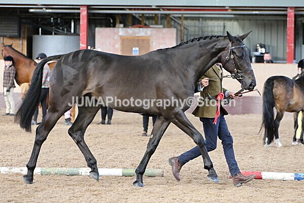 SIAL9367 - Indoor Classes