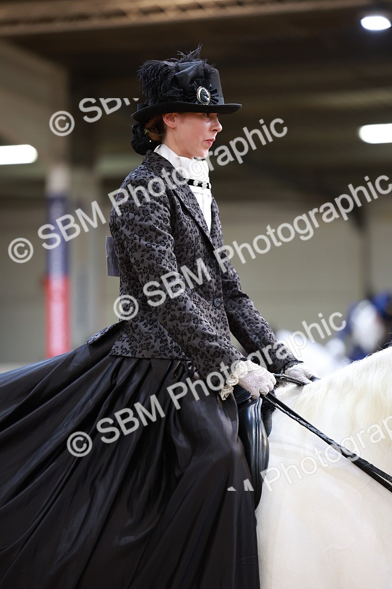 SBM_13774 - Class 106 - Ridden Costume -Astride Adult (15-19)