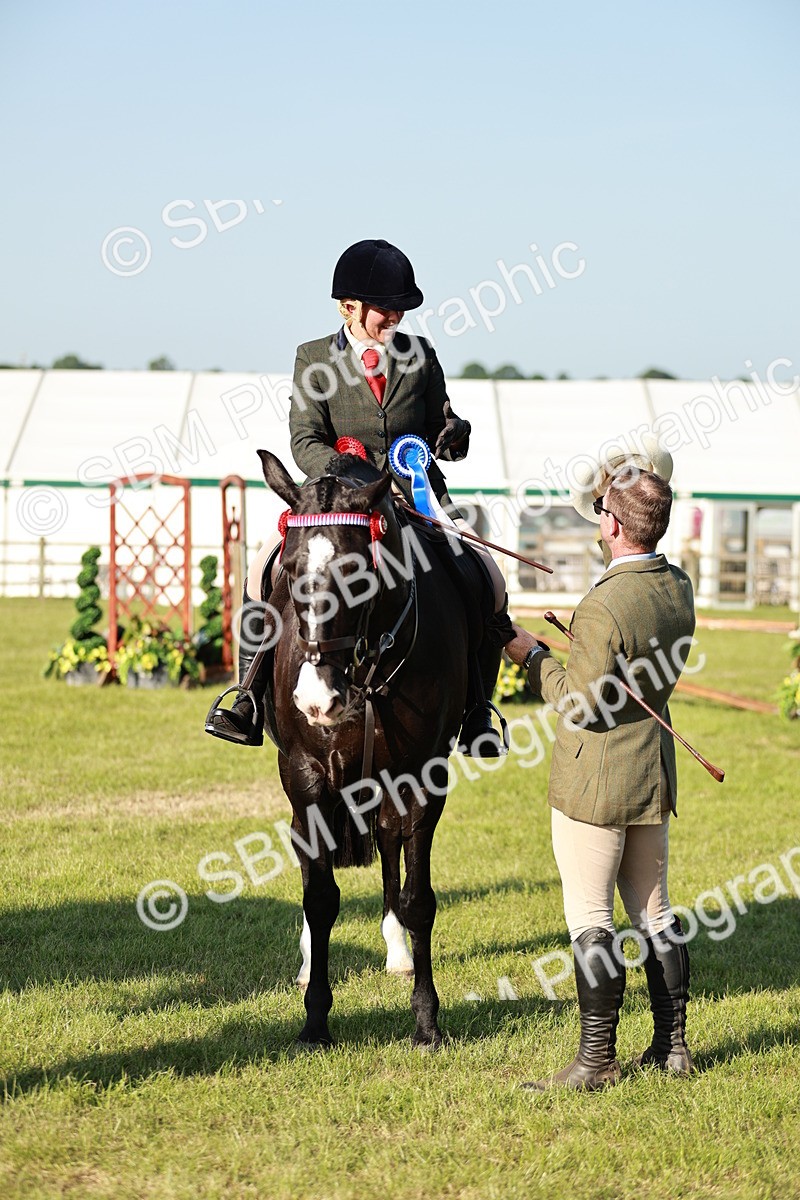 SBM_20124 - Class 115-116 - LIHS BSHA Rising Star Working Hunter & Show Horse