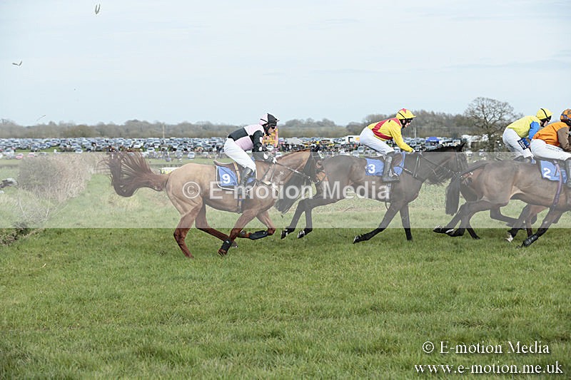 PtP 230319 266 - VWH Hunt Siddington Point-to-Point Racing 23/03/19