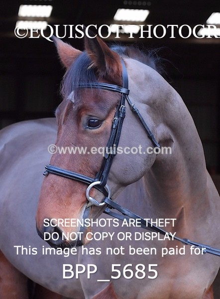 BPP_5685 - Imogen Gray