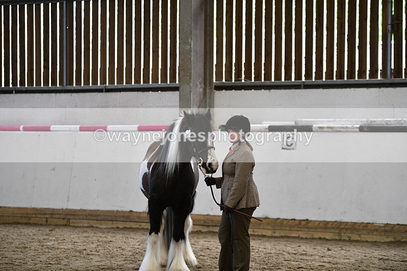 WJ5_5138 - Class 7 In hand coloured / odd coloured