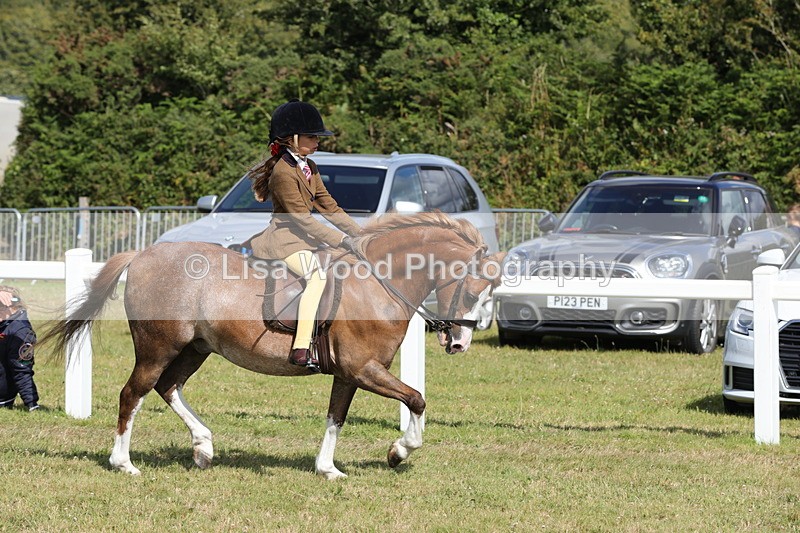1X9A5649 - Class 40: NPS Welsh A & B