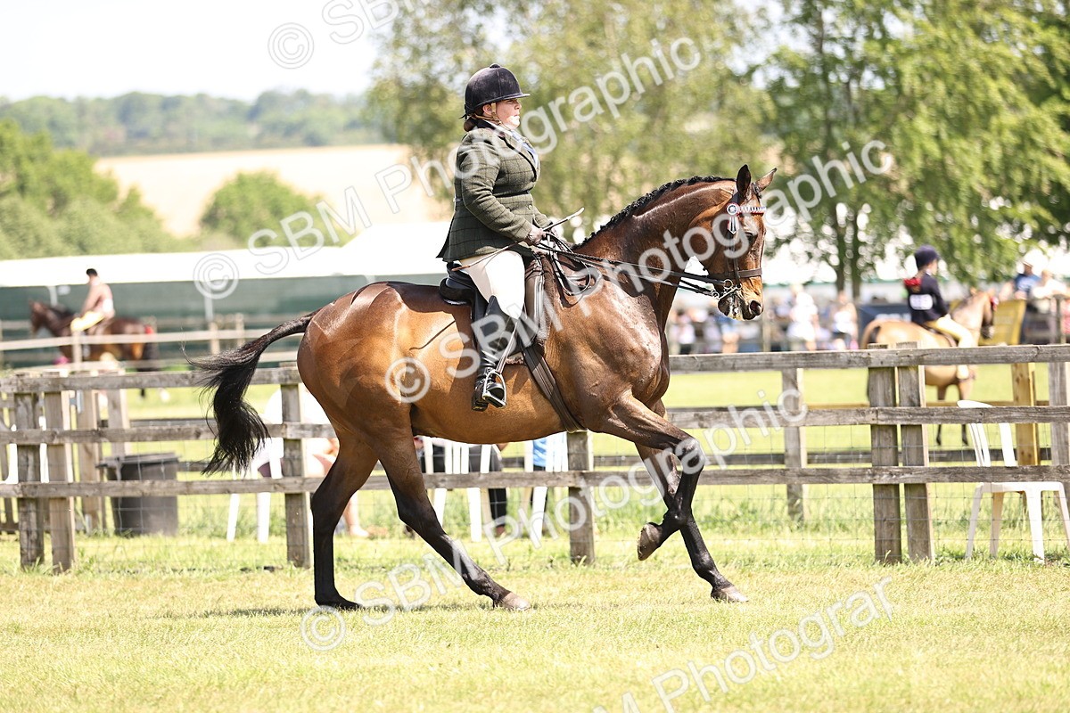 SBM_14870 - Class 78 - LIHS BSHA Open Racehorse & Show Horse