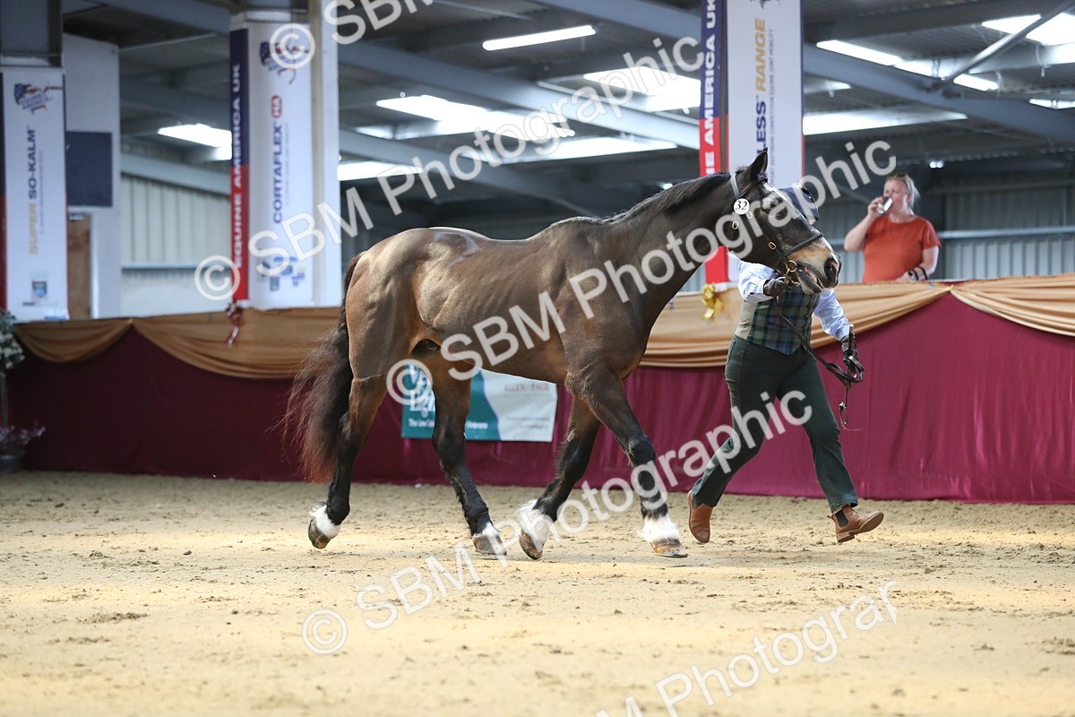 SBM_04324 - Class 7R Regional - IH Diamond