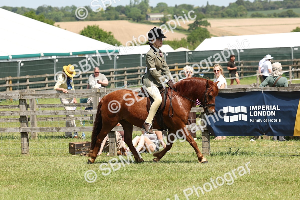 SBM_06815 - Class 26-30 - Mountain and Moorland Ridden