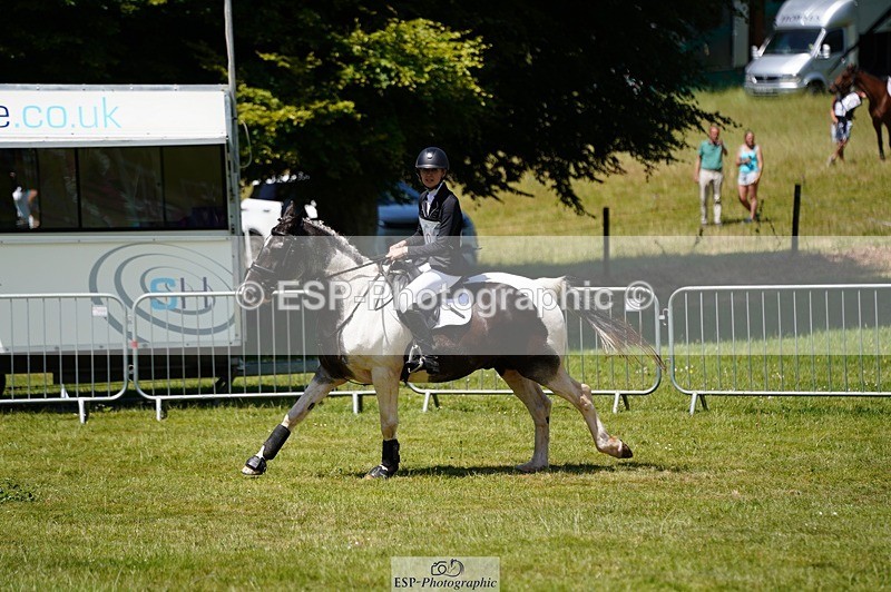 240629X-122304-4798 - 206-rebecca_jones-MR_BOXER