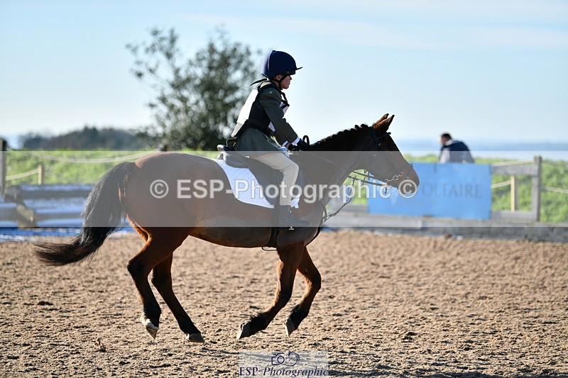 231202A-130419-01394 - Cls 02 50cm