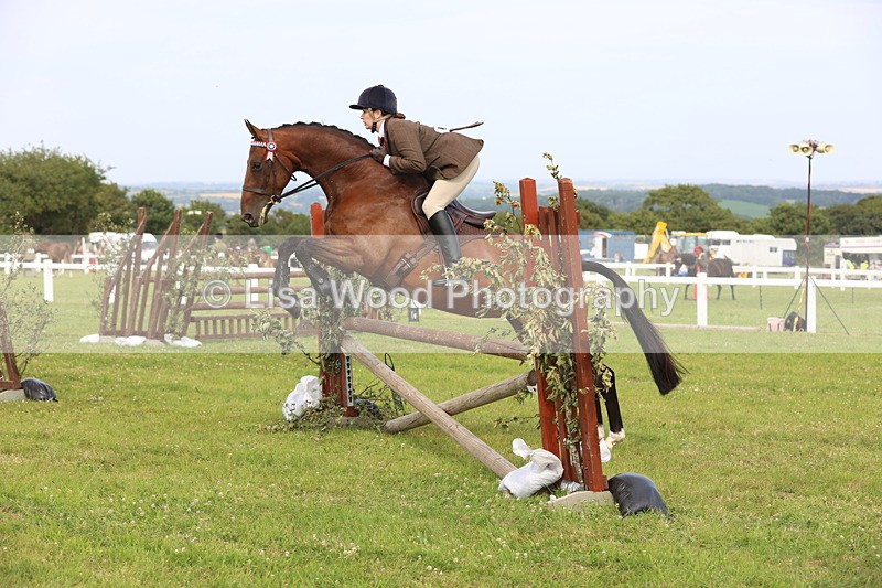 JPP_4181 - Class 25: Working Show Horse