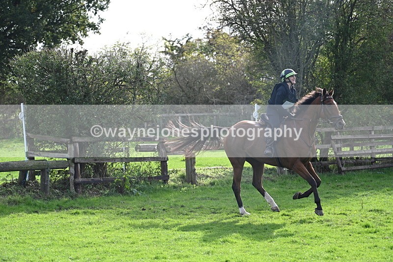 WJ7_0950 - Time 14:27 to 15:11