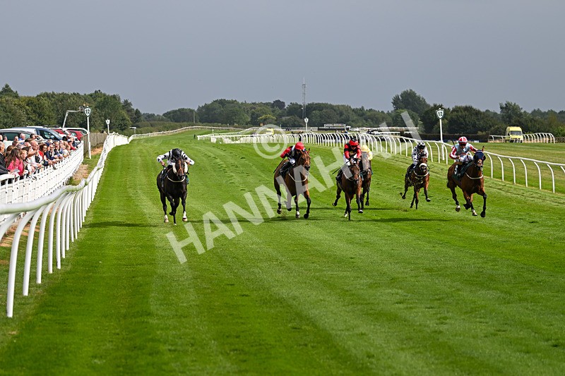 190824-Race 5-Birkenhead-3818 - Race 5