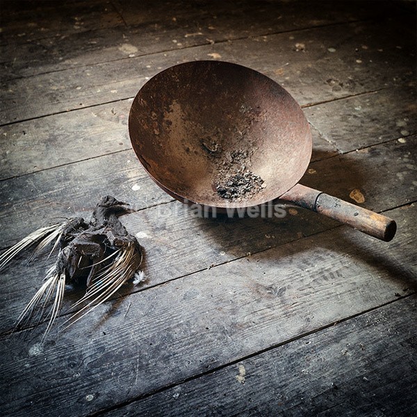 Tasty Morsel - Miscellaneous Gallery
