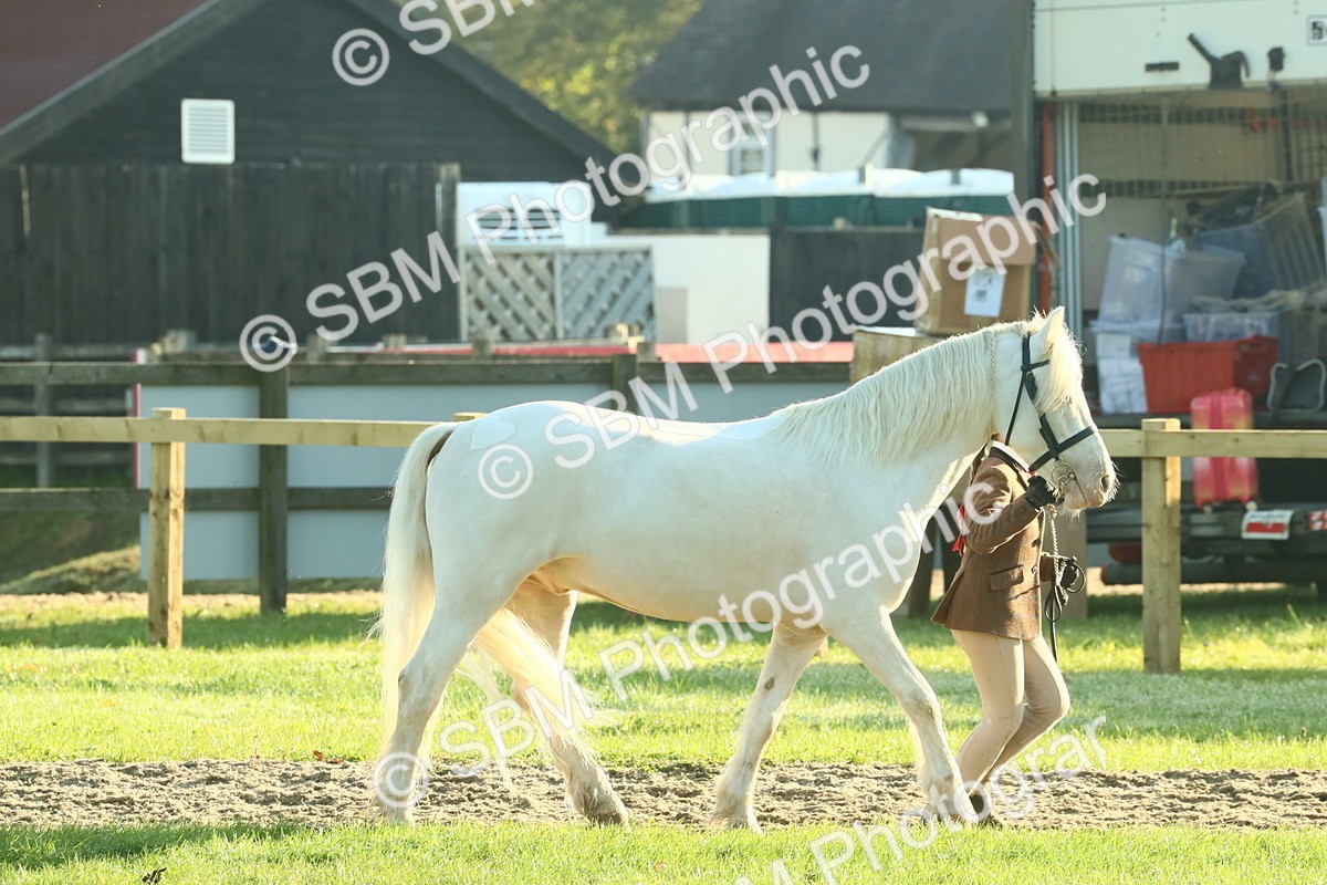 SBM_57374 - S37 - Starters In Hand Showing