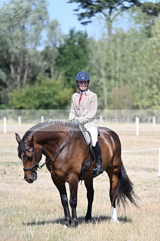 WJ7_4118 - Class 9 Mountain & Moorland Ridden