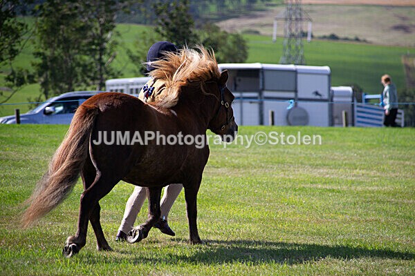 DSC_0278 - Ring 1