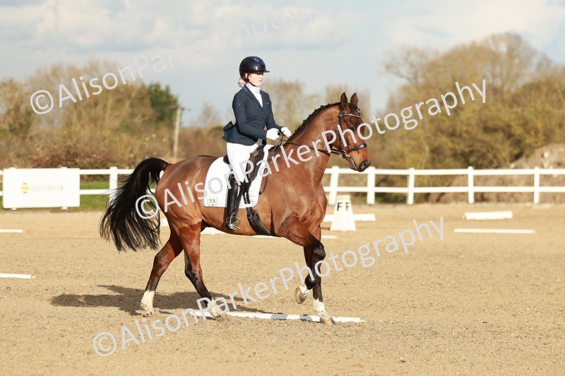 20260314-6310 - CT7 - Elementary 2