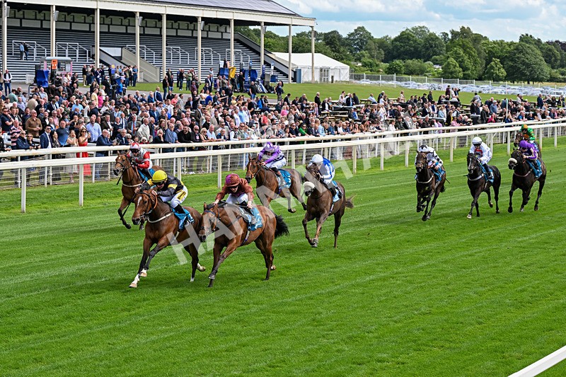 120626-Race 4-Big Negotiator-0224 - Race 4 15.35pm Juddmonte EBF Fillies' Restricted Novice