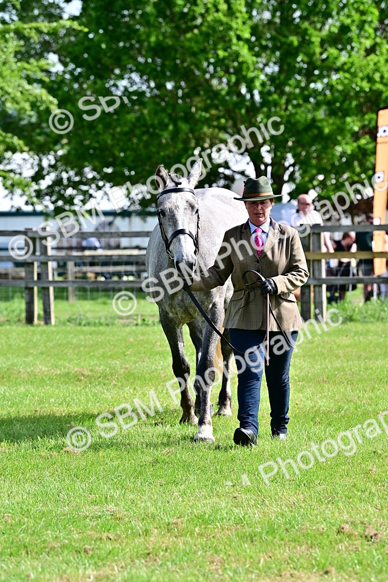 SBM_03319 - Class 50 - 54 Light Horse Breeding