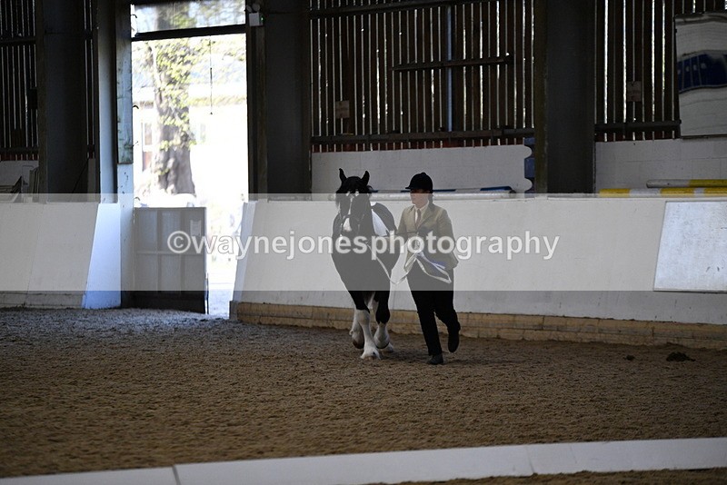 WJ5_3746 - Class 5 In Hand Veterans