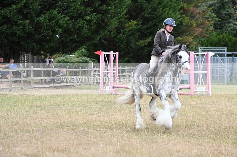 WJ6_9645 - Class 12 Minimus Jumping 45cm