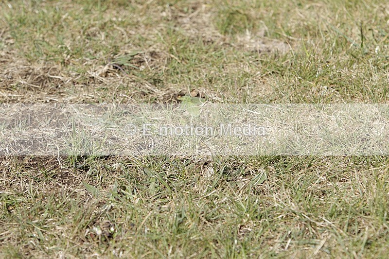 BVHT 140517 I-545 - Class 1 SJ Intermediate 14/05/17