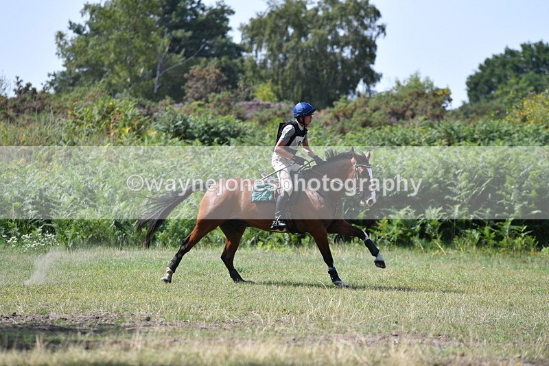 WJ5_2889 - XC Time 12:35 to 12:59