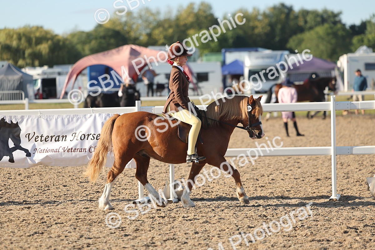 SBM_10892 - Class 301 - Ridden M&M Small Breeds