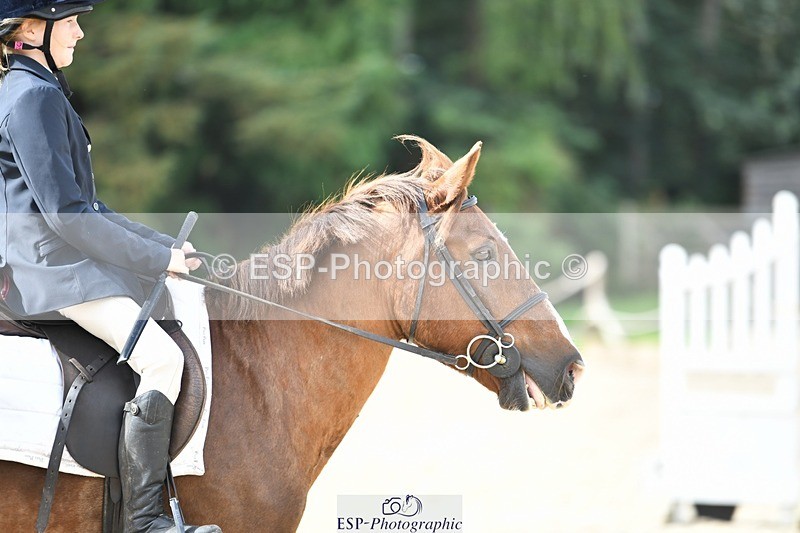 230820-103712-00297 - 80cm - Round 1