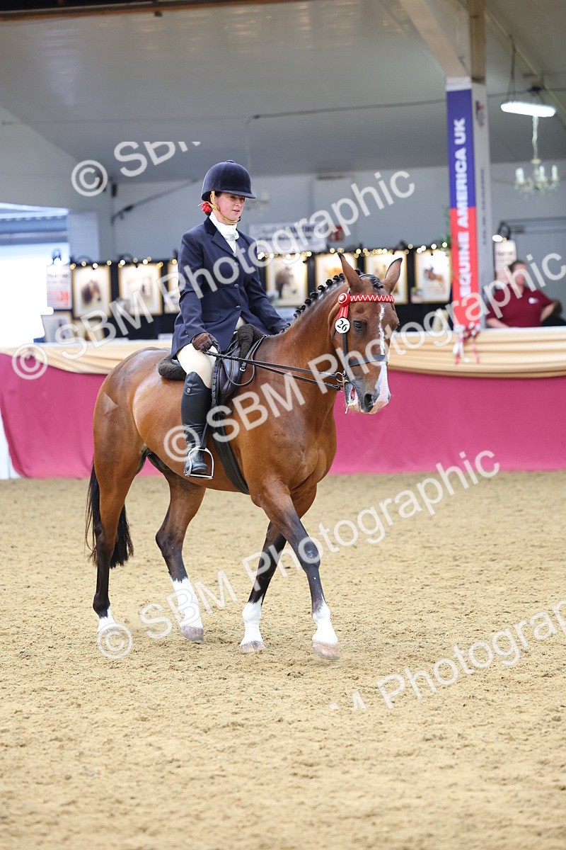SBM_23755 - Class 904 - Supreme Final Ridden Diamond