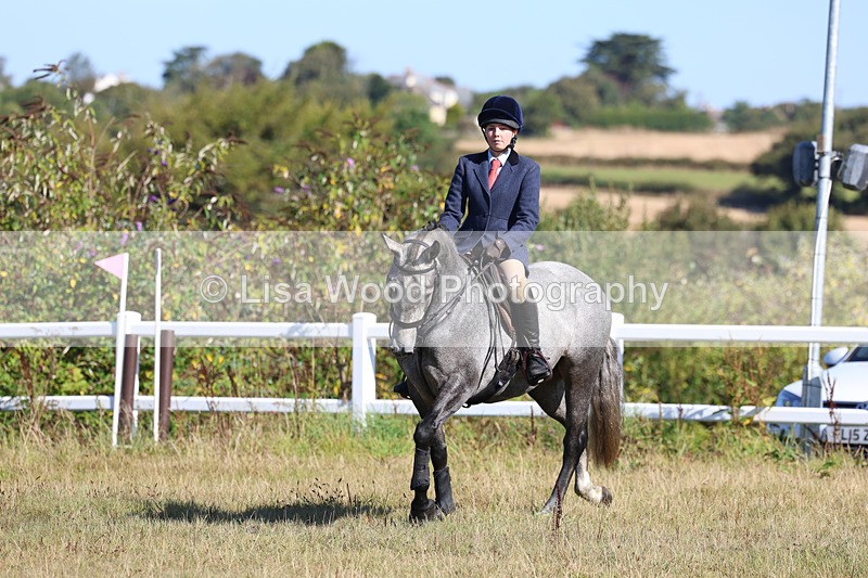 3E7A5469 - Class 3: Working Hunter 70cm