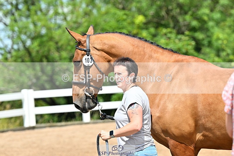 240718A-105300-01432 - Trot Up 12pm to 1pm