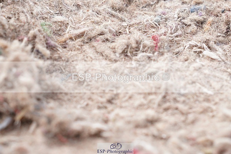 250622-180320-17618 - Cls 64 FEI Grand Prix Inc Presentations