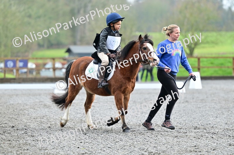 20260125-0958 - Class 9a - Walk Trot Assisted