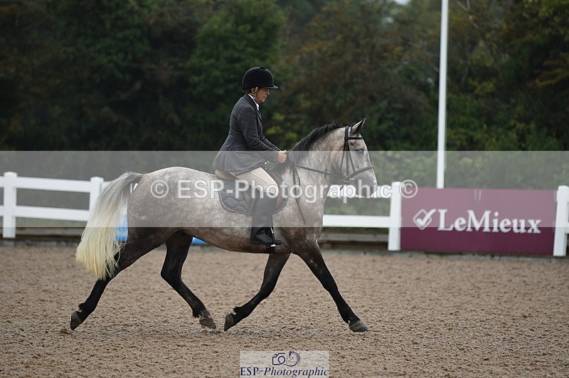 220829A-152502-00037 - Clear Round & 60cm  1a - 1b