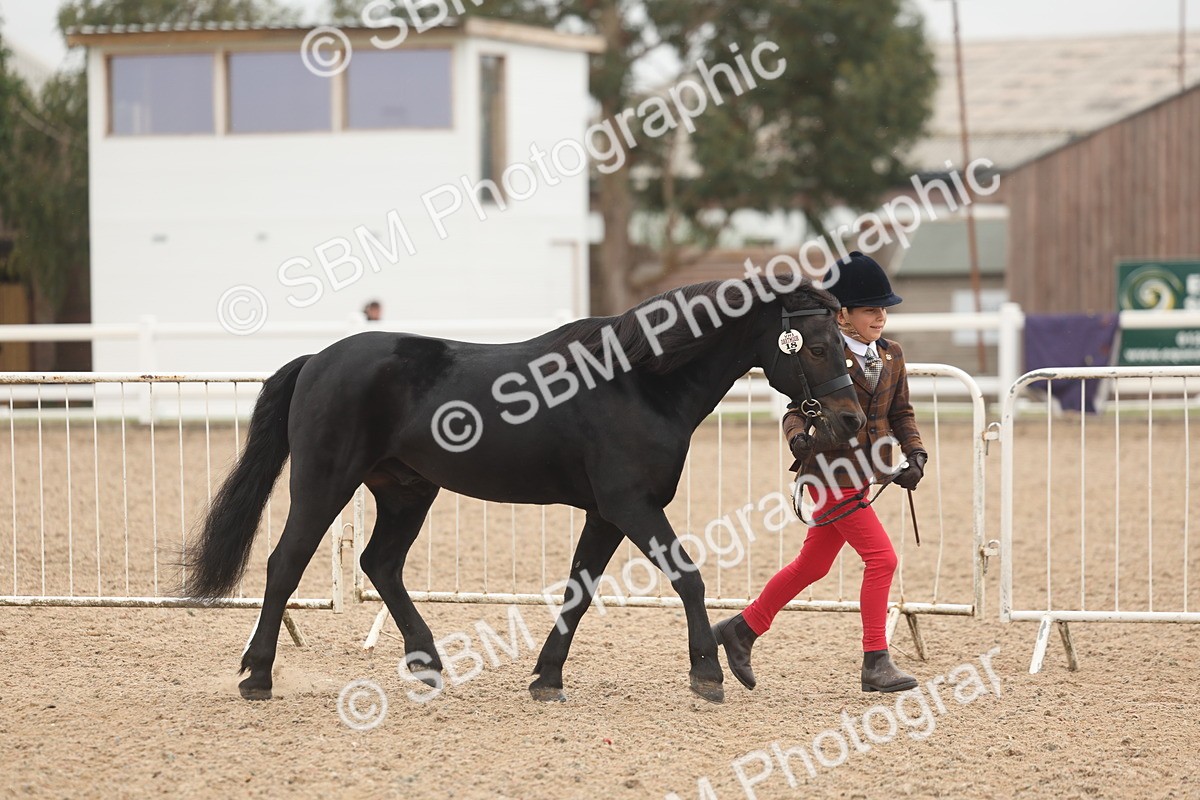 SBM_00493 - Class 13 Young Handler