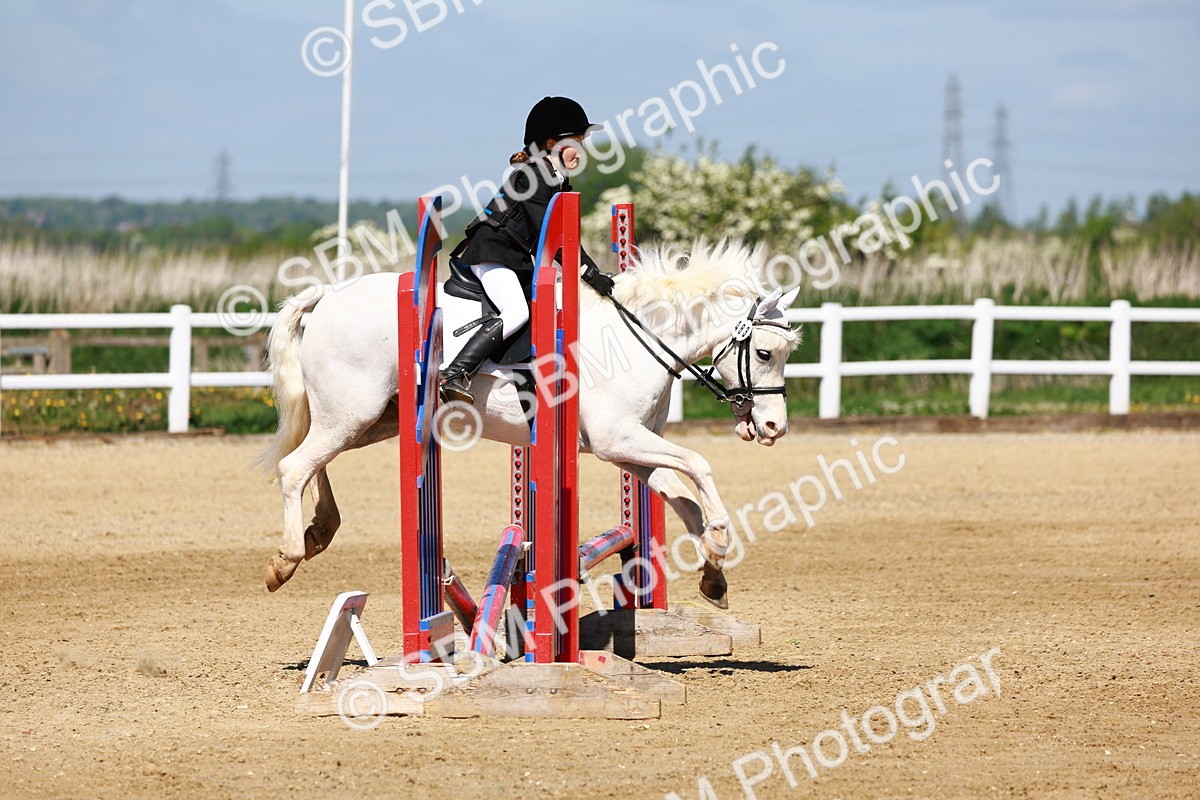 SBM_007143 - Class 3 - 60cm