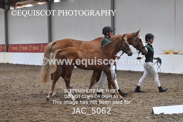 JAC_5062 - 9 Zinzipan