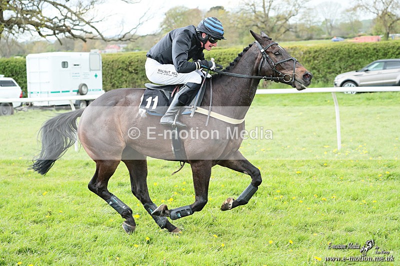 PtP 180426 574 - Worcestershire Hunt PtP Chaddesley Corbett 18/04/26
