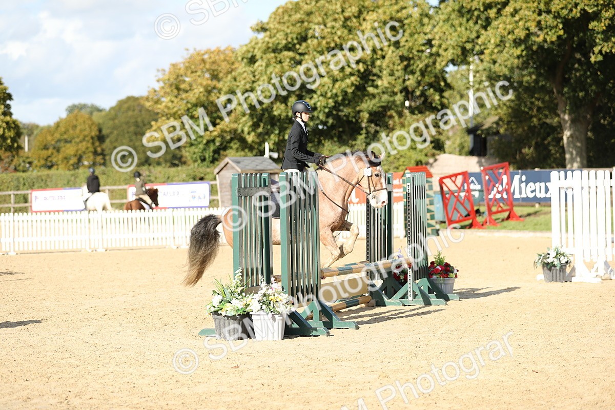 SBM_49581 - J22 - Junior Horse 65cm Championship