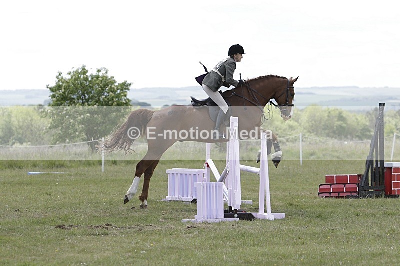 BVHT 140517 N-379 - Class 2 SJ Novice 14/05/17