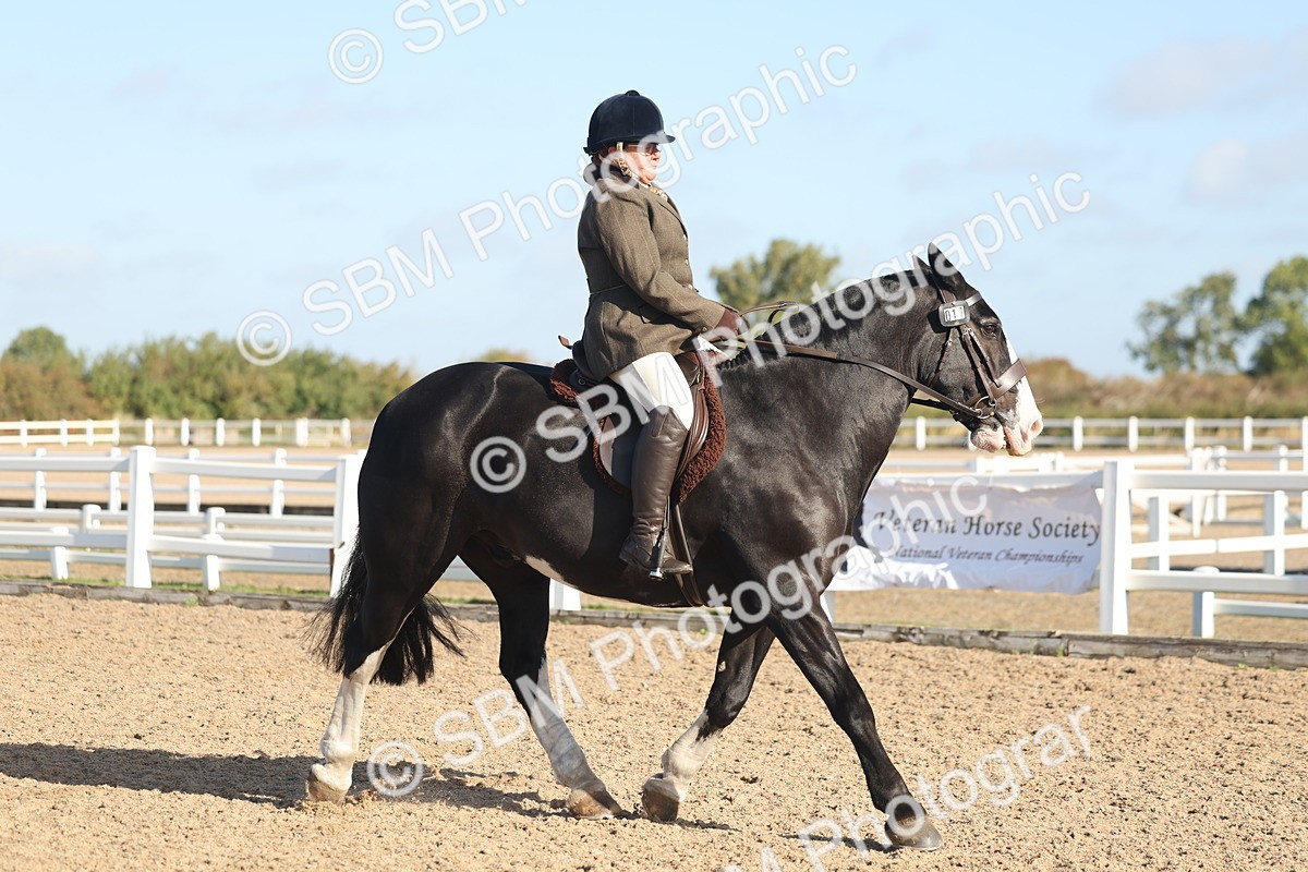 SBM_22189 - Class 802 - Ridden Groom Helpers Class