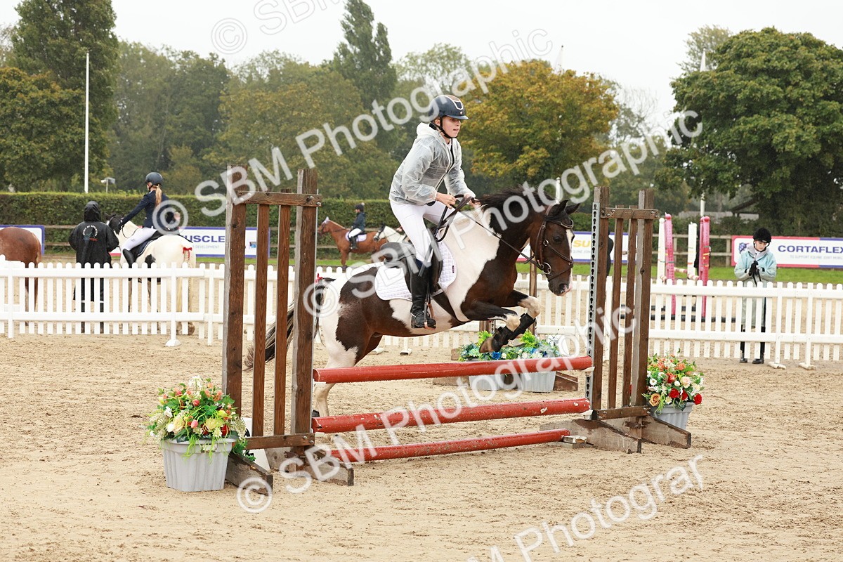 SBM_71247 - J14 - Junior Pony 65cm Championship