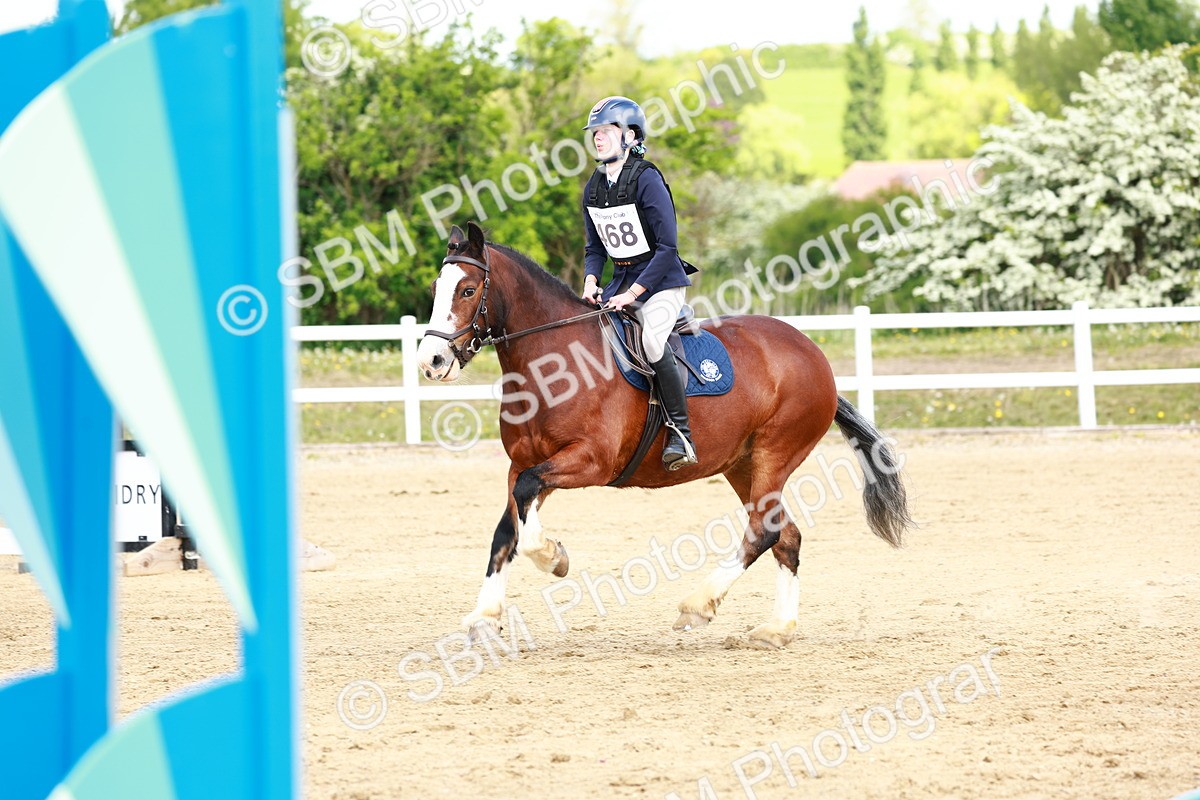 SBM_007881 - Class 3 - 60cm