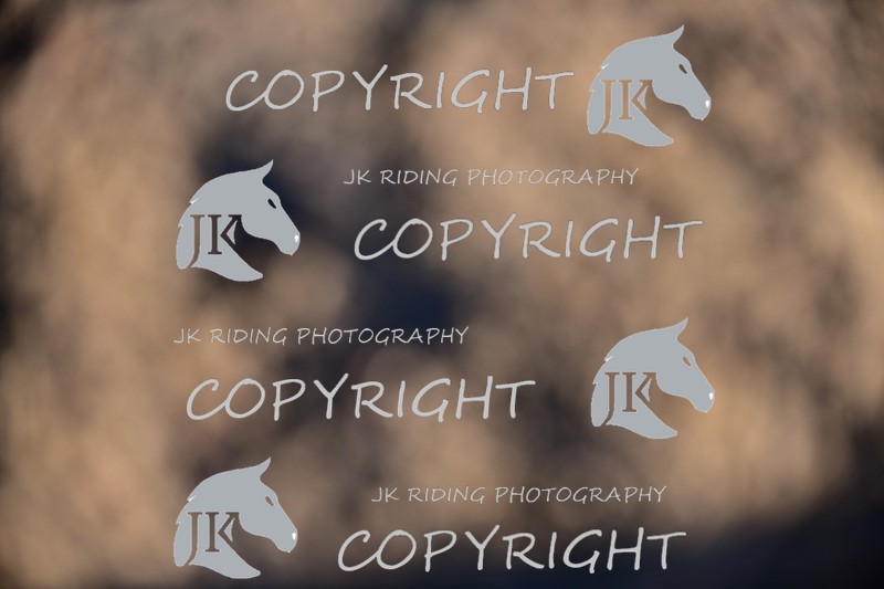 SBP_1415 - 11am - 12pm