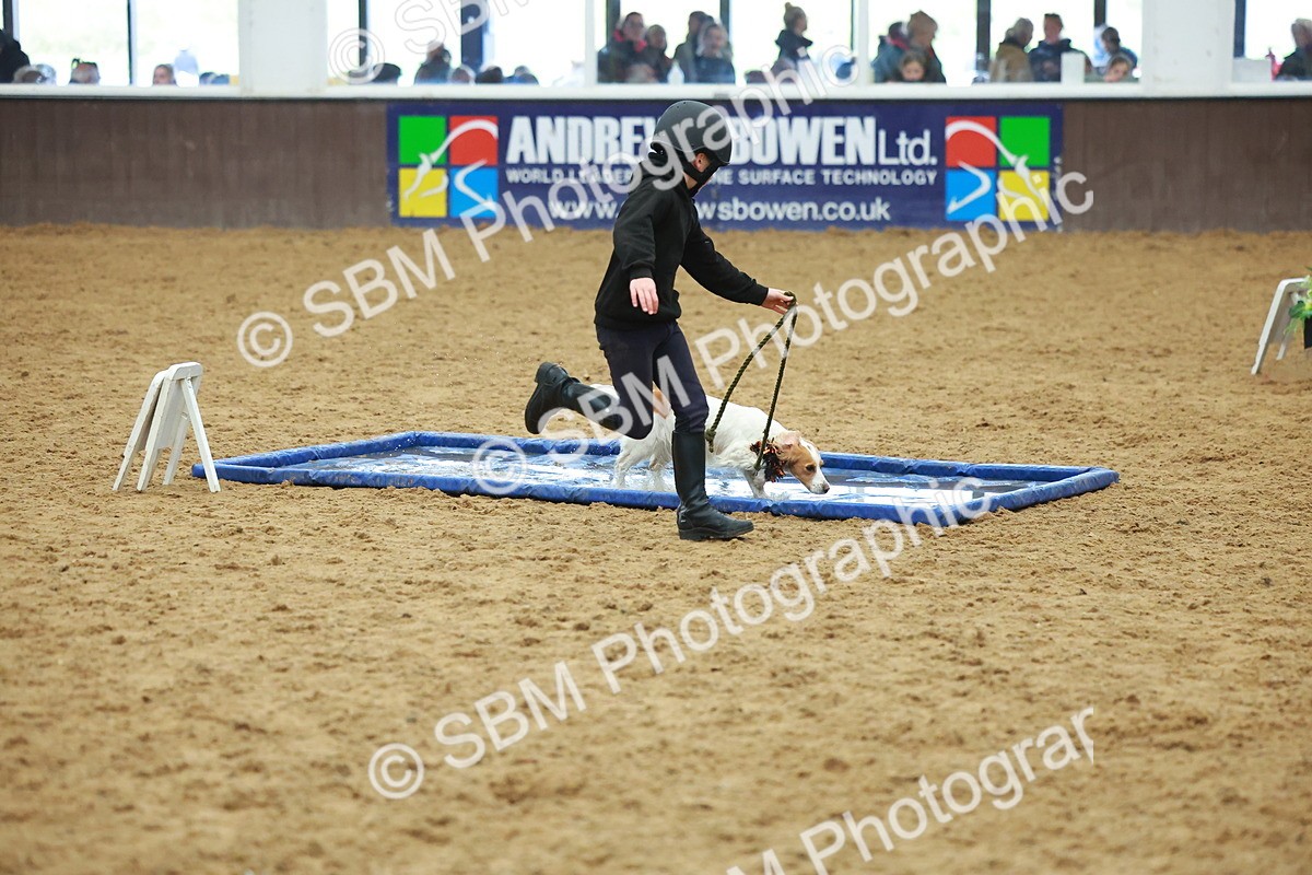 SBM_002546 - Class 3 - Horse & Hound (60cm)