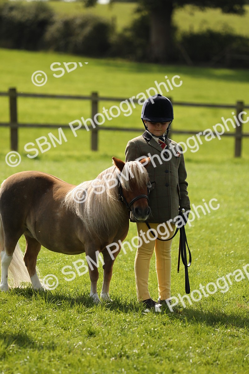 SBM_67804 - S39 - Junior Handler 8  Years & Under
