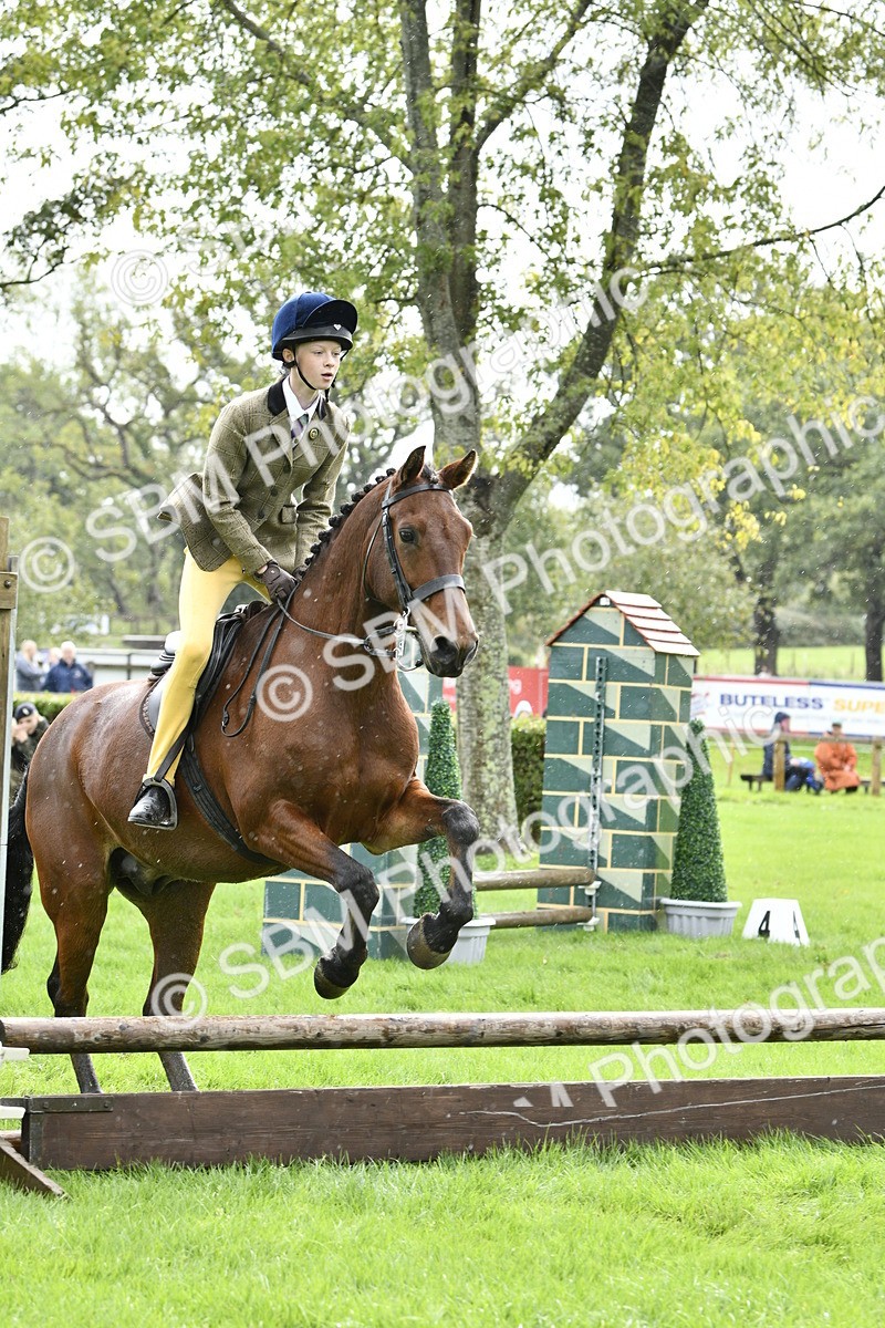 SBM_41418 - S32 - Mountain & Moorland Working Hunter Pony