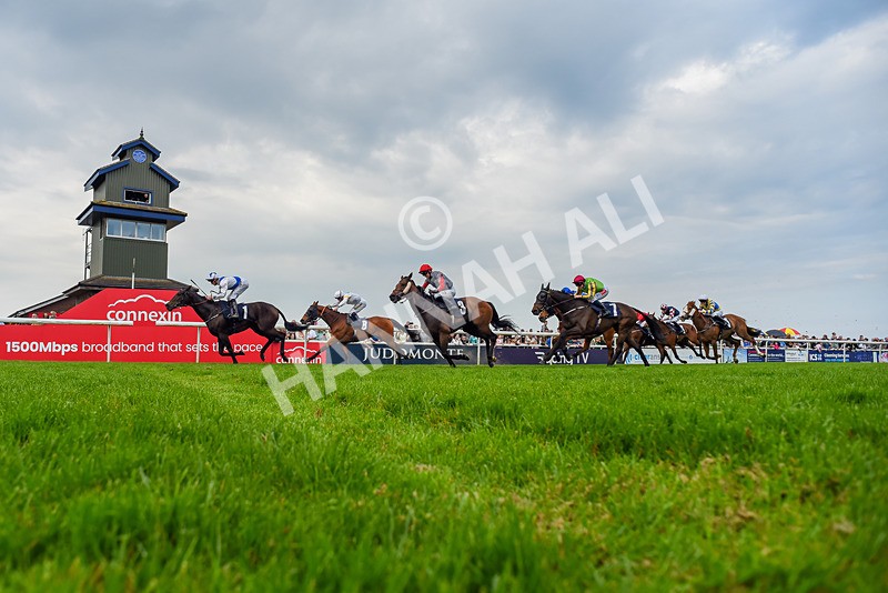 060524-Race 6-Shes Got Bottle-9196 - Race 6